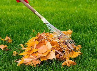 Autumn cleanup and protection