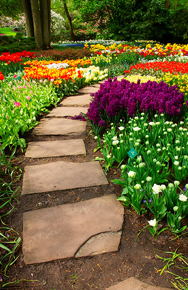 Cultivating thriving landscapes through expert design 1