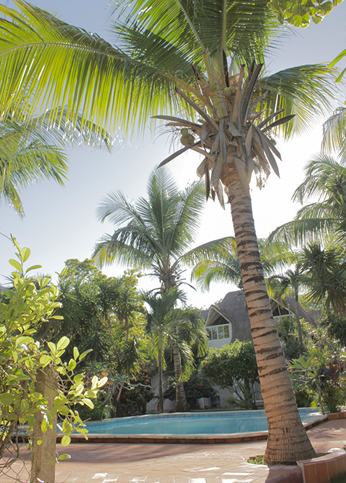 Cultivating thriving landscapes through expert design