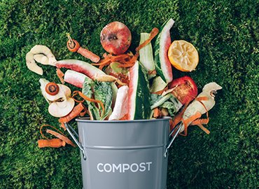 Organic soil enrichment strategies